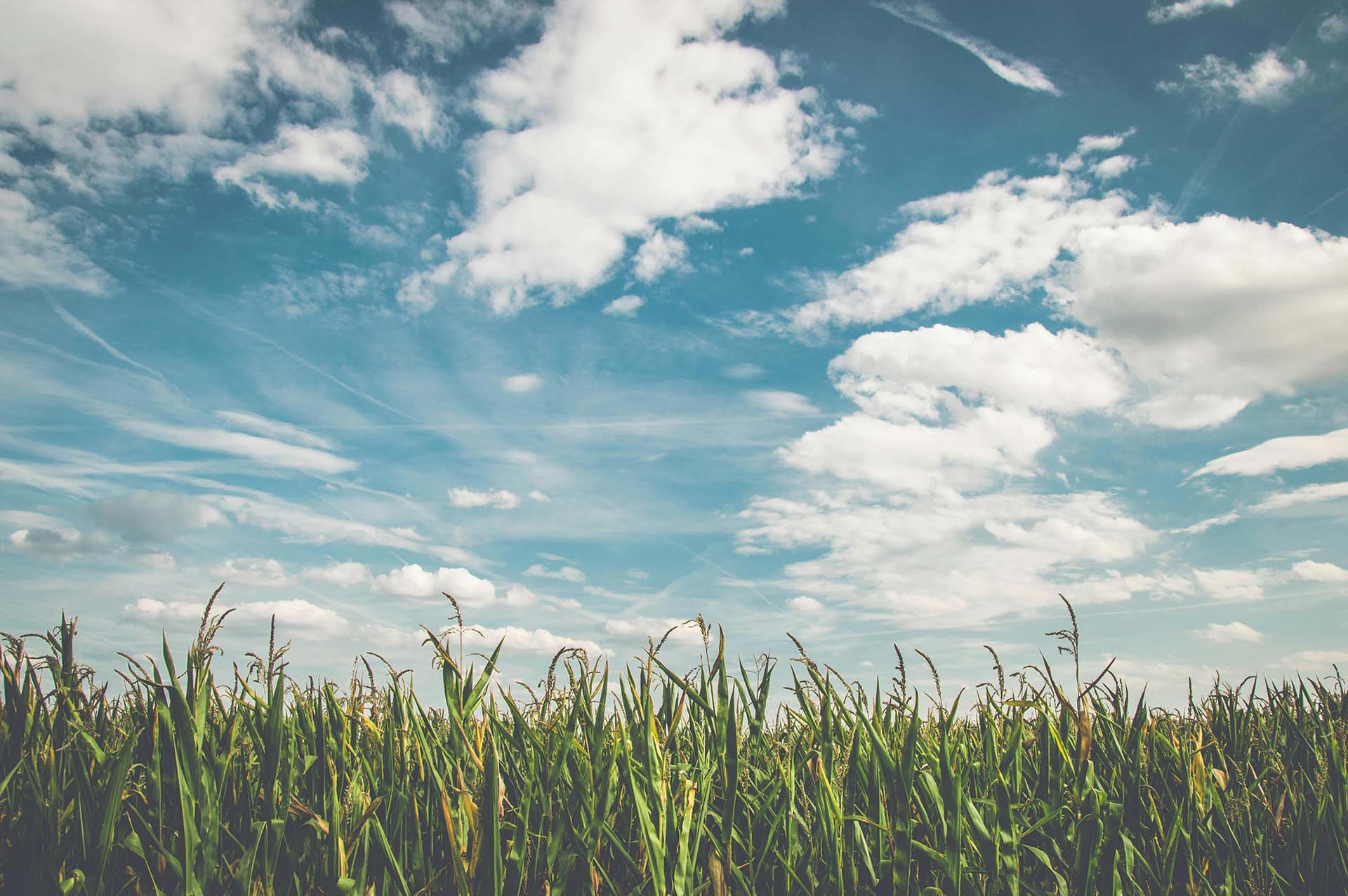 parallax background